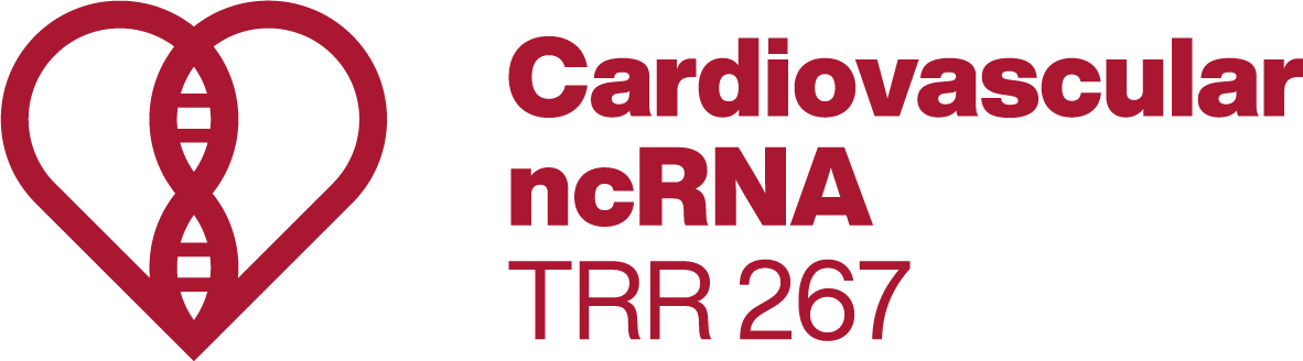 Protective effects of gαi3 deficiency in a murine heart-failure model